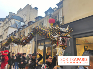 Défilé du Nouvel An Lunaire-Chinois Faubourg Saint-Honoré  - fotor 1738762018278