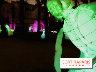 Exposition Silva Lumina au Centre Culturel Irlandais  - Silva Lumina 12 fotor 2025020692052