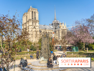 Le Square Viviani devant Notre-Dame de Paris