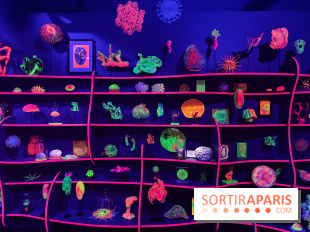 Digital Abysses au musée en Herbe - nos photos - 0129F15A 5778 46C1 BB45 E8B6ED6C3104