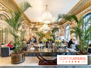 Le brunch du Peninsula Paris - les photos - A7C06553