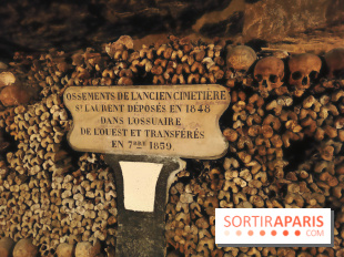 Les Catacombes de Paris - visuels  - fotor 1749245949100