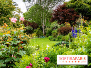 Le Jardin des Aubépines a Auffargis  - A7C01416