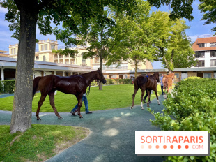 Jeuxdi by Longchamp - chevaux