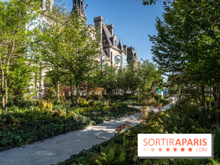 Hôtel de Ville - De Paris à Belem - Forêt Urbaine - Obey  - A7C03311