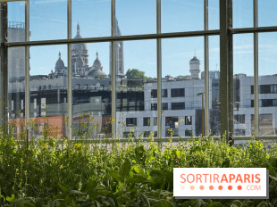Rooftop Plantation Paris