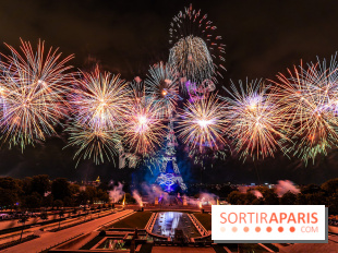 Le feu d’artifice du 14 juillet 2025 de Paris - les photos
