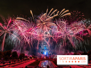 Le feu d’artifice du 14 juillet 2025 de Paris - les photos