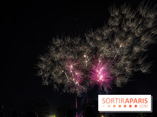Visuels feux d'artifice