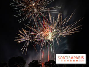 Visuels feux d'artifice
