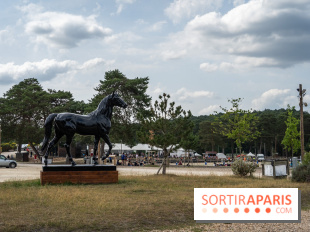 Le Grand Parquet Fontainebleau - photos  - A7C02547
