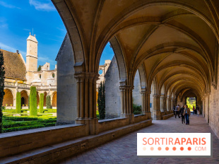 Les spectacles du dimanche de l'Abbaye de Royaumont dans le Val-d'Oise - A7C08374