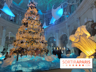 Le Grand Noël 2025 du château de Vaux-le-Vicomte : des décorations magiques pour une balade hivernale mémorable - fotor 1763143714138