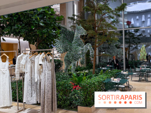 Noël 2025 Dior 30 Montaigne - IMG 1956