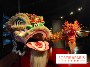 Dragons : l'exposition entre art et légendes se dévoile au musée du Quai Branly - fotor 1763382698364
