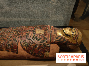 Momies : une exposition insolite et troublante à découvrir au musée de l'Homme - fotor 1763471518273