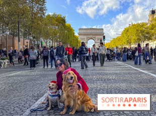 La Marche des animaux à Paris : défilé gratuit, ouvert aux chiens, chats ... sur les Champs-Élysées