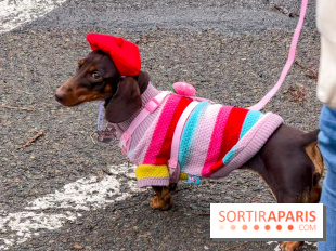 Paris Sausage Walk, la Marche des Teckels 2025