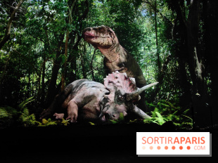 Dinosaures : l'expérience immersive qui nous fait remonter le temps à l'Atelier des Lumières, photos - fotor 1764680104761