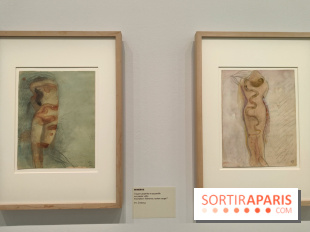 Rodin, dessins libres : une exposition d'œuvres rarement montrées au musée Rodin se dévoile - fotor 1765539489879