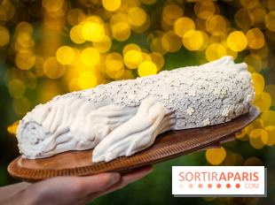 Le tea time de Noël du George V 2025, les photos - buche de noël