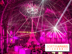 Le Grand Palais des Glaces 2025 - les photos - IMG 8147