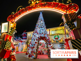 Ce passionné en Essonne transforme son jardin en Village de Noël à visiter gratuitement