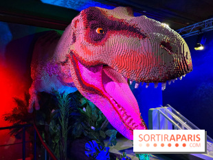 Dinosaures LEGO - IMG 2035