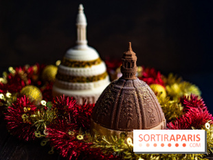 Les bûches de Noël glacées de Bachir spécial dômes parisiens  - A7C03412