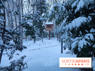 Neige en Île-de-France, hiver 2026 visuels - Kremlin-Bicêtre 94 Val-de-Marne