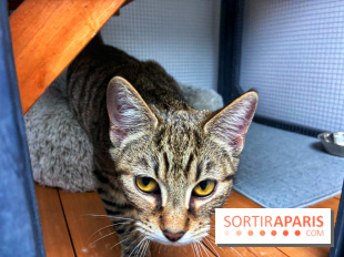 Le Chatelier  - IMG 2495