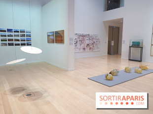 Exposition Contraste et indifférence au Centre culturel canadien - nos photos