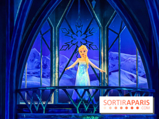 Frozen Ever After : l'attraction La Reine des Neiges à Disneyland Paris - IMG 3878