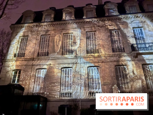 Spectacle son et lumière gratuit au Centre culturel de Chine - IMG 3179