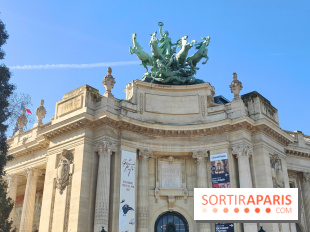 Insolite : assistez au montage en live d'une maquette LEGO du Grand Palais - fotor 1772017476523