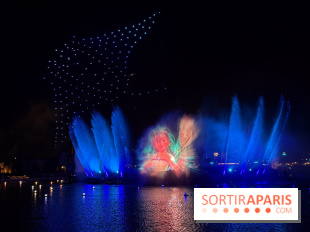 Disneyland Paris : Disney Cascade of Lights, le spectacle nocturne sur Adventure Bay - IMG 4962