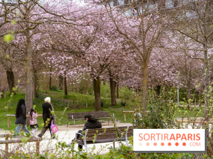 Les cerisiers du parc Martin Luther King - Clichy - Batignoles - A7C08847