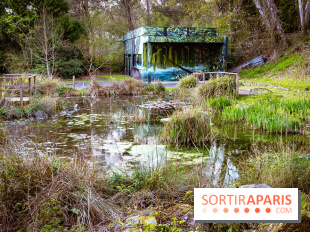 Le jardin botanique de Launay et arboretum de l'Université Paris Saclay à Orsay - les photos - A7C09562