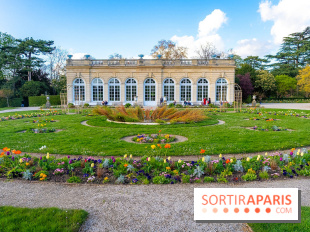 Le Parc de Bagatelle au printemps, cerisier, tulipes et jonquilles - photos