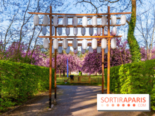 Hanami au Parc de Sceaux 2026, les cerisiers en fleurs et ses  animations - A7C01616 HDR
