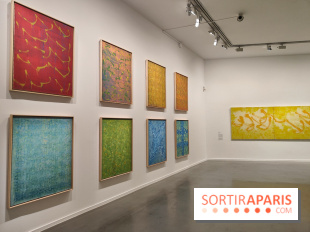 Brion Gysin, le dernier musée : une exposition rétrospective au musée d'Art moderne de Paris - fotor 1775731518522