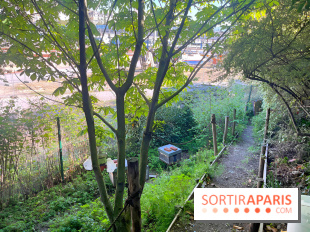 Shakirail, le lieu de travail avec programmation dédiée à la création émergente à Paris - IMG 7125