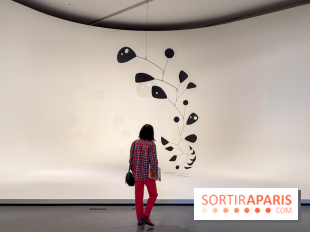 Calder. Rêver en Équilibre : l'exposition retrospective du  - IMG 2716