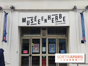 Admirez-les tous, Pokémon à l'honneur dans une exposition ludique et régressive au musée en Herbe