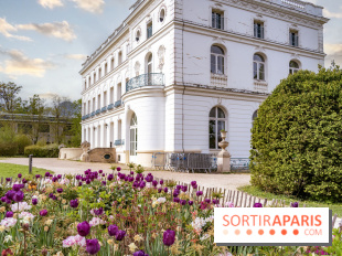 Le Château de Buc et son superbe domaine, parc paysagé aux nombreux trésors - A7C03221 Edit copie