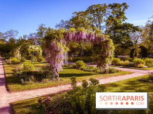 Le Parc des Ibis au Vésinet dans les Yvelines en Région Parisienne - photos  - A7200441