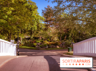 Le Parc des Ibis au Vésinet dans les Yvelines en Région Parisienne - photos  - A7200423
