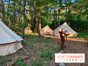 Bivouac avec les loups