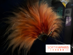 Plumes de Paradis, l'expo au musée du Quai Branly - nos photos