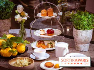 Tea time sensoriel de Matthieu Carlin à l'Hôtel de Crillon - les photos